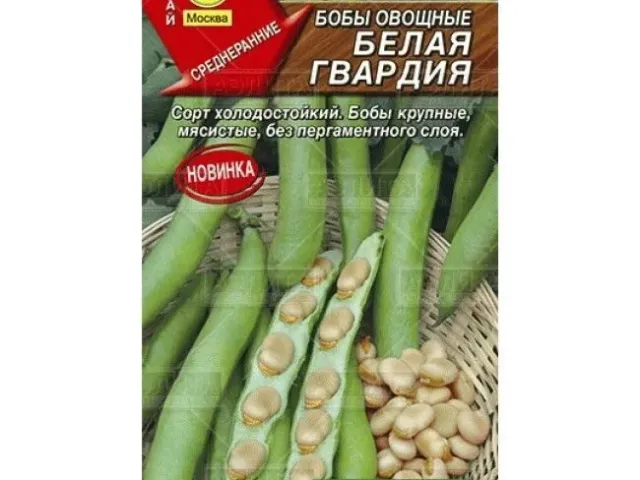 Белая Гвардия
