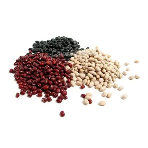 Mix of beans: red, black, and white on white background - CALOR