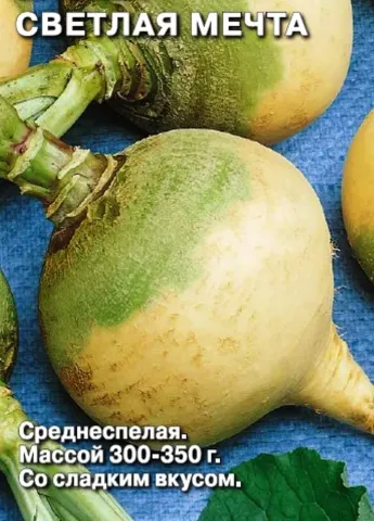 Насіння буряка СВІТЛА МЕЧТА на синьому фоні - ЯСКРАВА МРІЯ