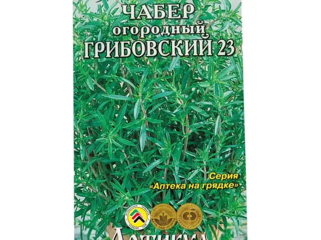 ГРИБОВСКИЙ 23