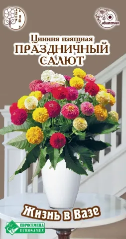 Seed packet of Zinnia Festive in a vase