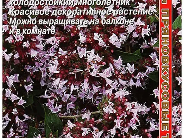 ORIGANUM