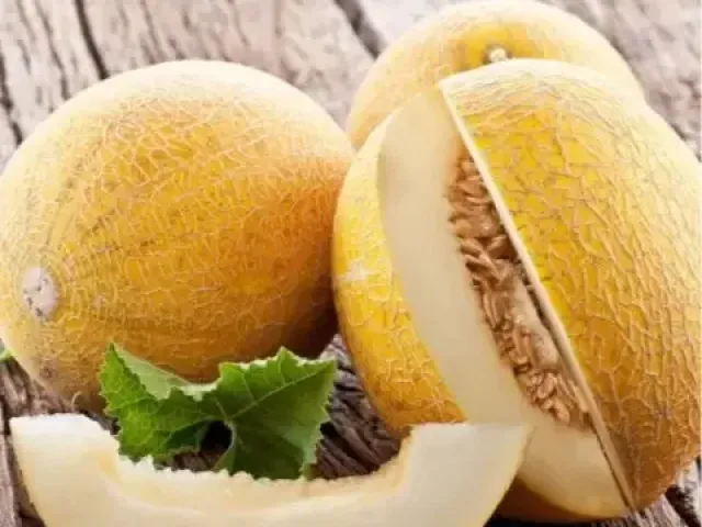 Чайка