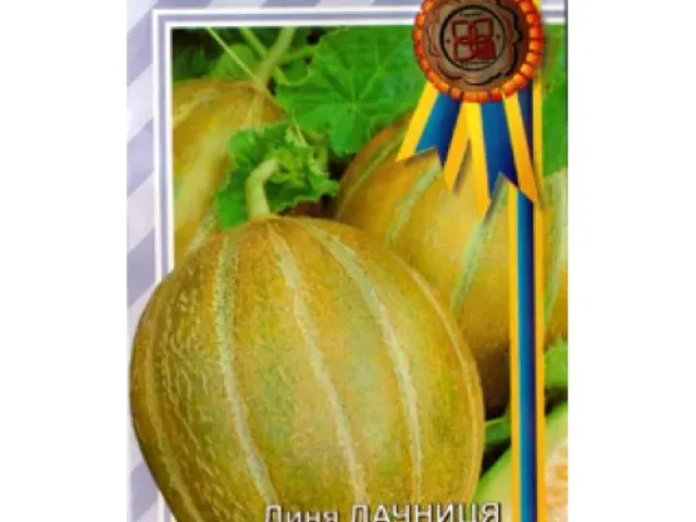 Дачниця