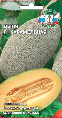 Семена дыни Карамельная на зеленом фоне