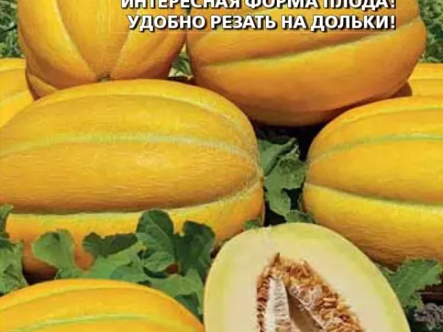 Наша Надежда