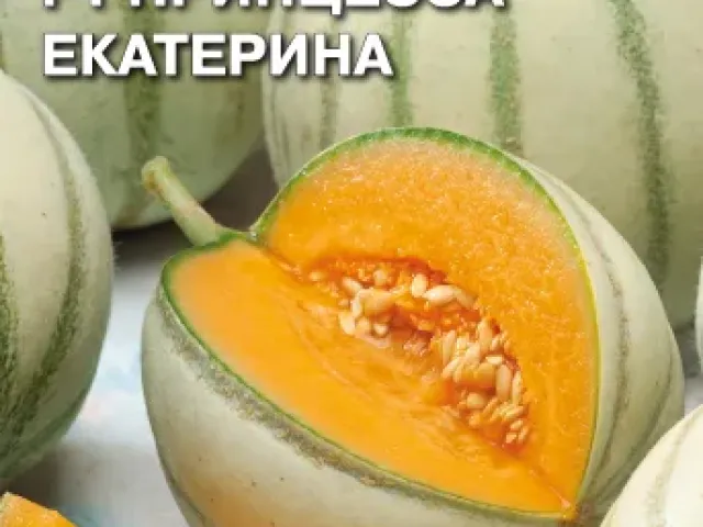 Принцесса Екатерина