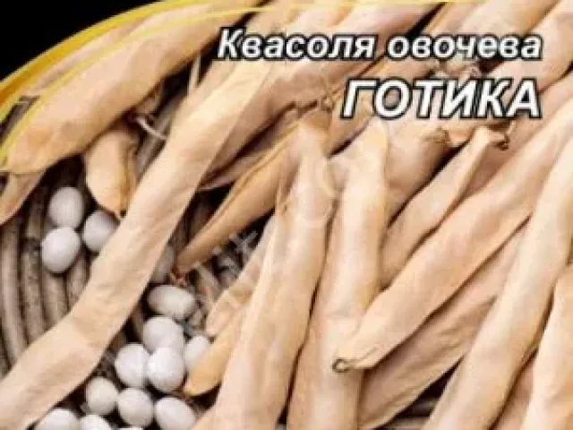 Готика