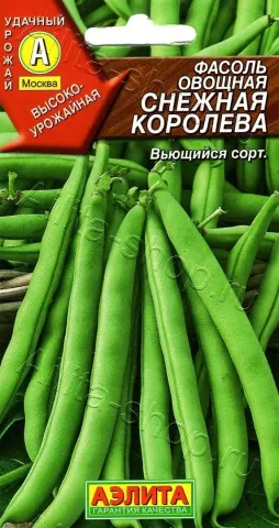 Pack of vegetable bean seeds named Snow Queen - SNEGYANA