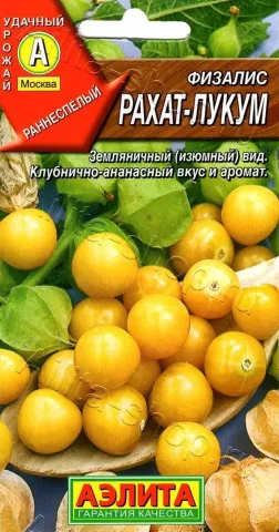 Seed packet of physalis RAHAT-LUKUM with image of yellow fruits