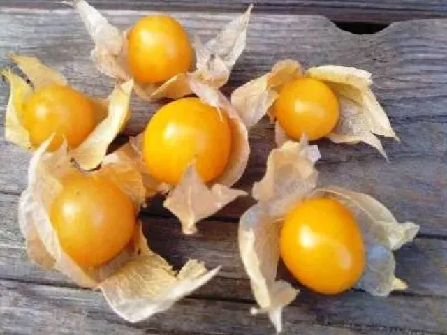 GOLDEN PRIZE