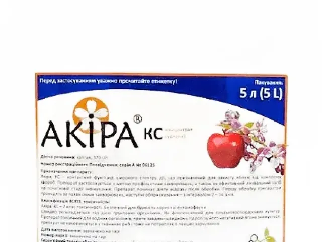 Акіра
