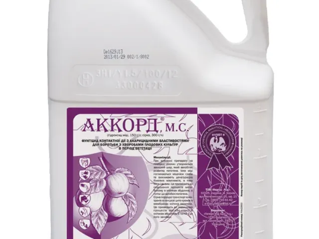 Акорд м.с.