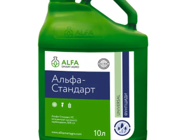 Альфа-Стандарт