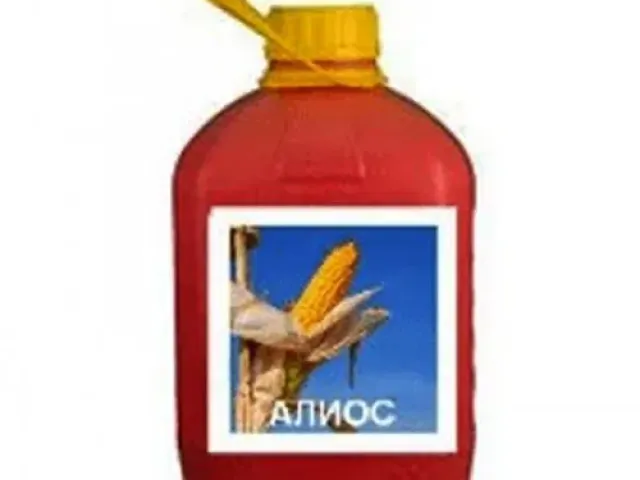 Алиос