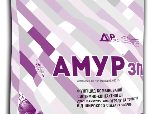 Амур