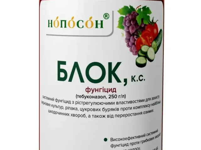 Блок, КС