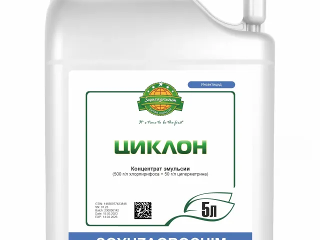 Циклон к.с.
