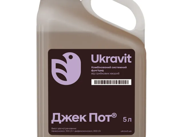 Джек Пот