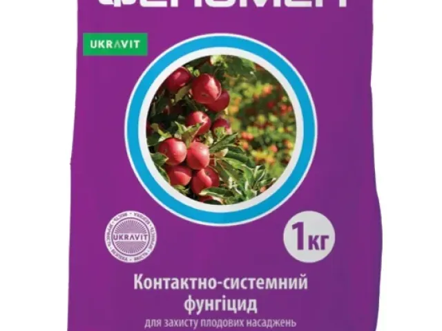 Феномен