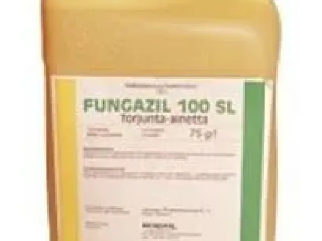 Фунгіцид Фунгазил 100 SL