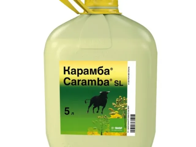 Карамба