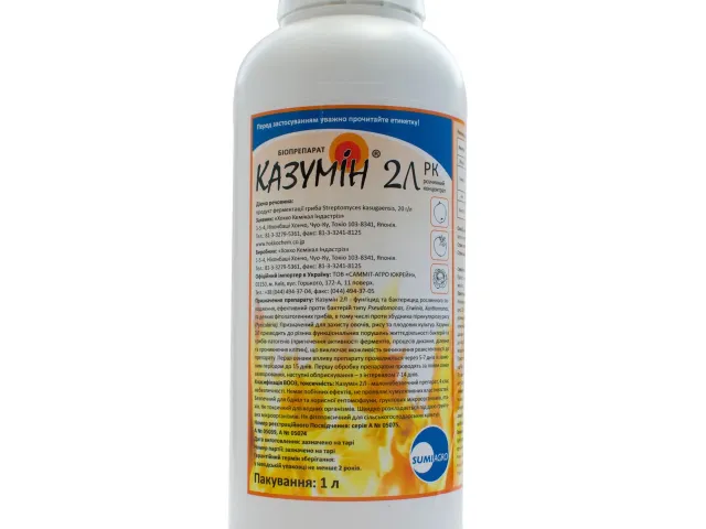 КАЗУМИН 2Л