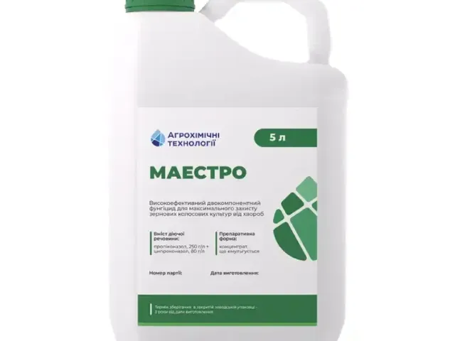 Маестро