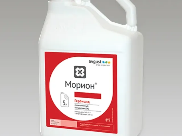 Морион
