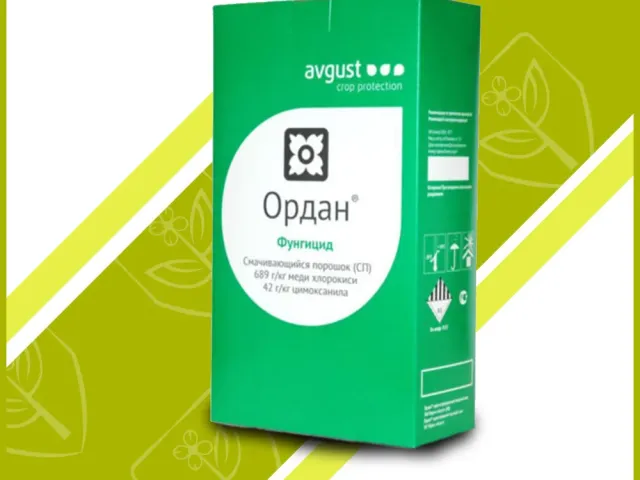 Ордан з.п.