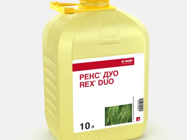 REX DUO k.c