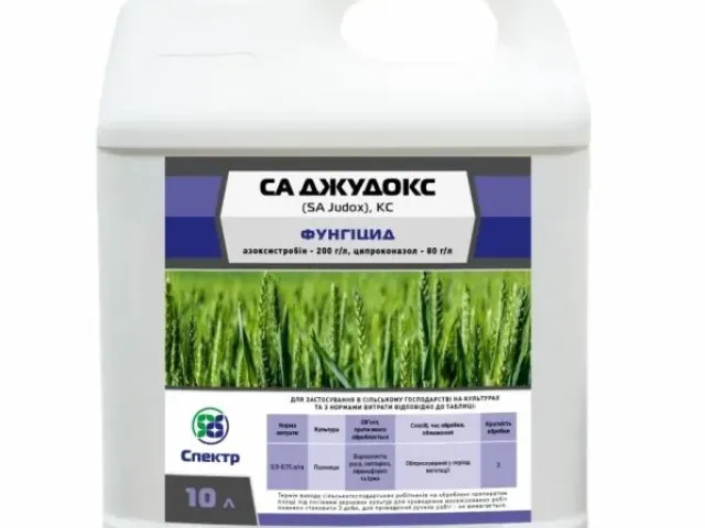 СА Джудокс