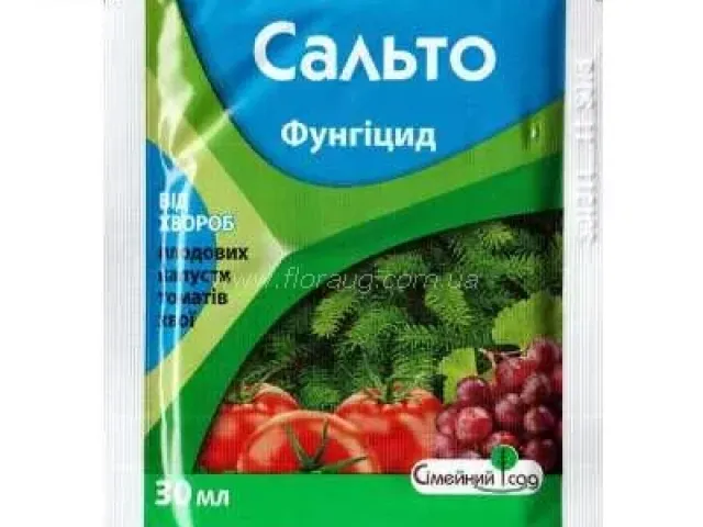 Сальто