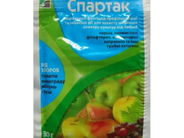 Спартак