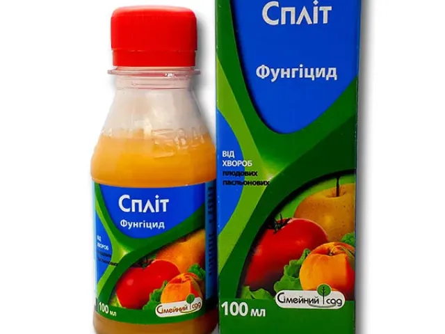 Спліт