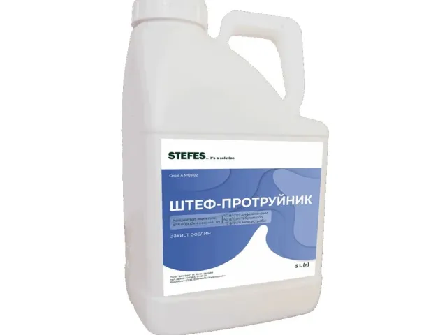Штеф-протруйник