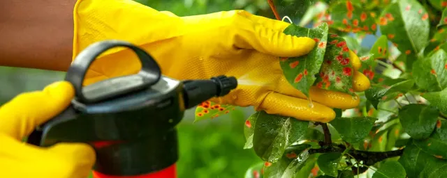 Spray for plant treatment in gloves - URozhAY