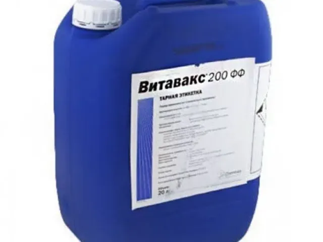 Витавакс 200 Ф.Ф.в.с.к.