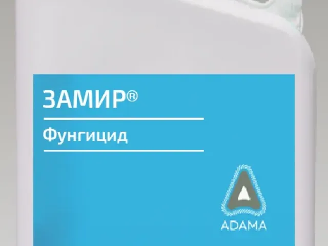 ЗАМІР 400 ЕВ