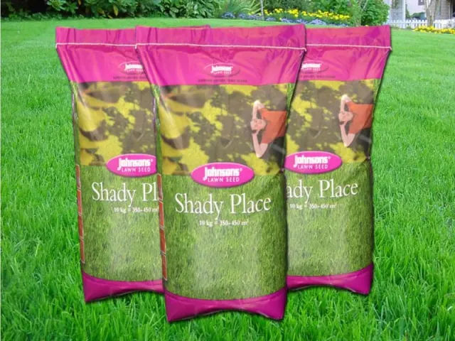 Три мешка Jonsons Shady Place на зеленом газоне