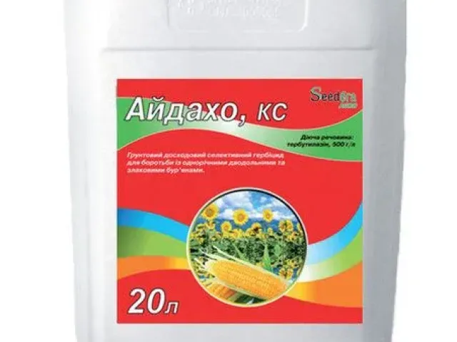 Айдахо