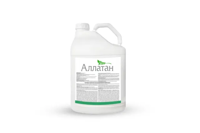 White jug with label «Allatan» and green stripe. - ALLATAN 105 MD