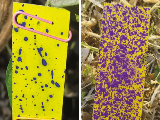 BATU V.G., HERBICIDE WITH SURFACTANT "TALANT"