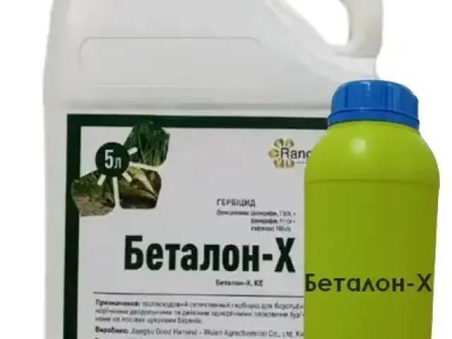 Betalon-X, KE (desmedifam, 71 g/l + fenmedifam, 91 g/l + etofumezat
