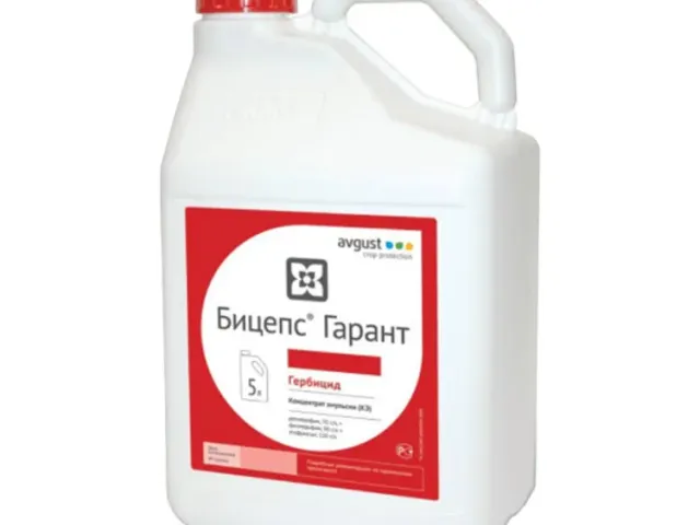 БИЦЕПС ГАРАНТ К.Е.