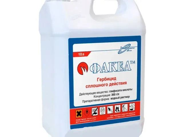 Факел