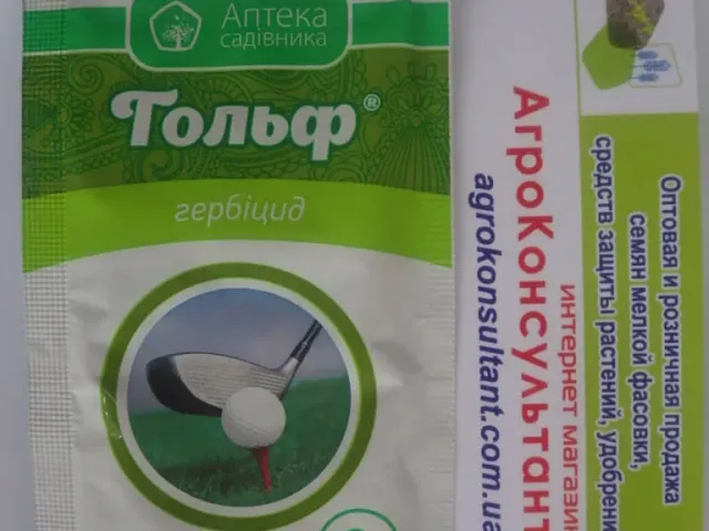 Гольф