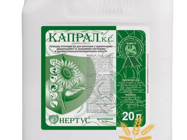 Капрал