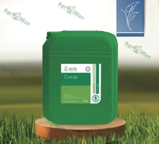 Green canister with label Kasator on grass background - Kasator k.s.