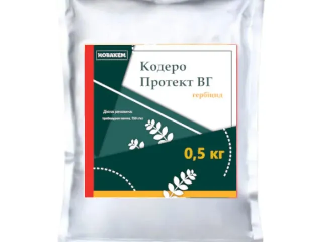 Кодеро Протект